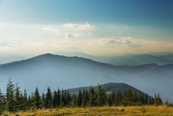 ウクライナのカルパチア山脈の美しい夏の風景 - 写真・画像