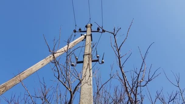 Electric pillar with wires and bare tree branches in clear blue sky - Footage, Video