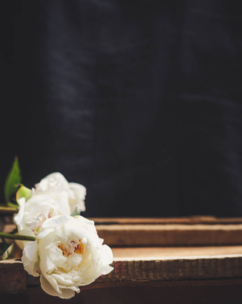 beautiful wedding bouquet on black background - Foto, Imagen