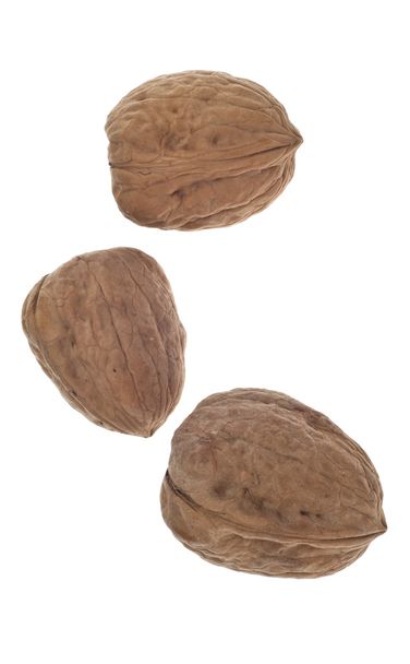 Trio of Shelled Walnuts - 写真・画像