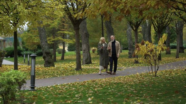 Ampla foto de casal de idosos felizes caminhando ao longo do caminho em roupas elegantes. - Foto, Imagem