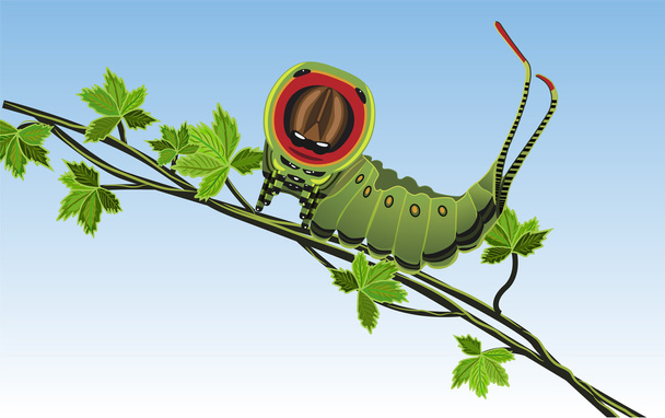 Caterpillar - Vector - Vektor, Bild