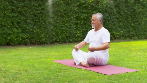 Asyalı yaşlı adam bahçede yoga yapıyor.. - Video, Çekim