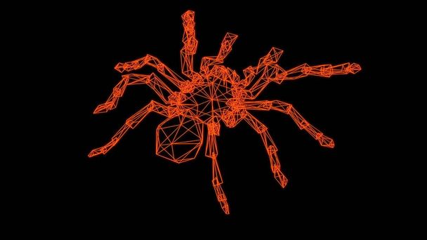 модель кадра паука - 3D рендеринг - Фото, изображение