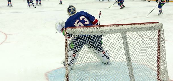 Hockey goals - Photo, Image