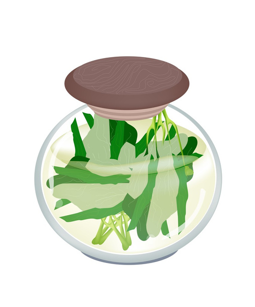 sklenici chutné nakládané čínské brokolice - Vektor, obrázek