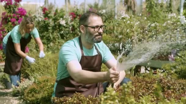 Květinářství majitel stříkající vodu na rostliny z hadice - Záběry, video