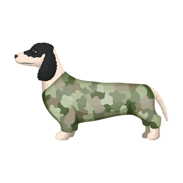 Dachshund vector icon.Cartoon icono de vector aislado sobre fondo blanco dachshund. - Vector, Imagen