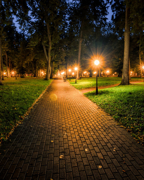Нічний парк, освітлений ліхтарями з кам'яною бруківкою, деревами, опалим листям і лавками на початку осені. Міський пейзаж
. - Фото, зображення