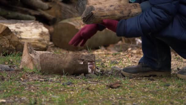 Mujer recogiendo troncos de logpile - Metraje, vídeo