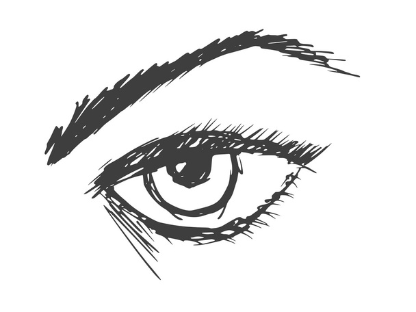 Occhio umano
 - Vettoriali, immagini