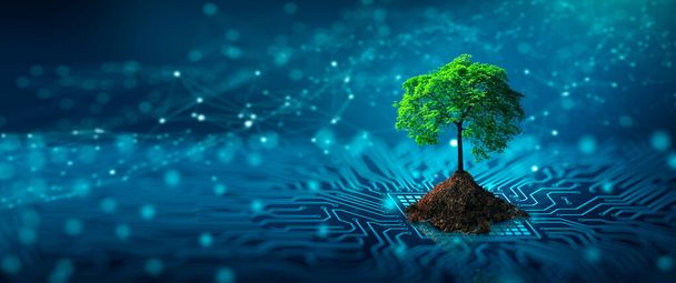 コンピュータ回路基板の収束点に土壌が成長している木。青色の光と低ポリワイヤーフレームネットワークの背景。グリーンコンピューティング、グリーンテクノロジー、グリーンIT 、 csr 、 IT倫理の概念. - 写真・画像