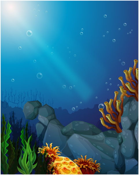 Corals and seaweeds under the sea - Vector, Image