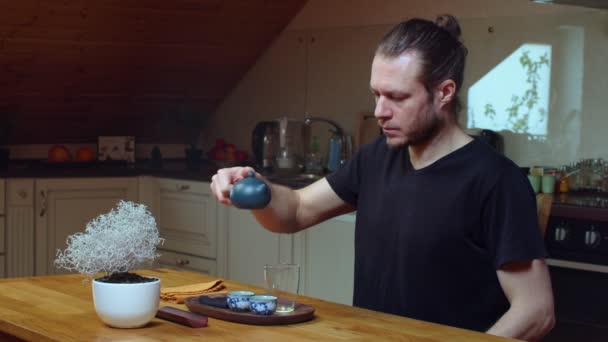 Caucasian man brewing green tea oolong indoors at home kitchen slow motion. Concentrated master serving Chinese tea ceremony sitting at wooden table alone. Oriental eastern culture equipment - Footage, Video