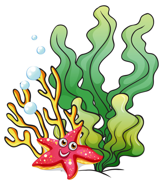 Arrecifes de coral con una estrella de mar sonriente
 - Vector, imagen