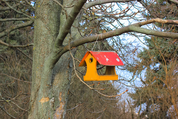 Tree house for feeding birds. Yellow and red wooden bird feeder hanging on a leafless tree branch in the fall or spring on a sunny day. Chestnut tree without leaves. Helping wild animals birds concept - Photo, Image