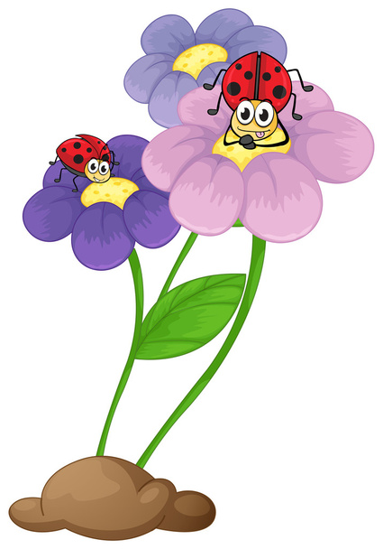 ladybugs ile çiçekler - Vektör, Görsel