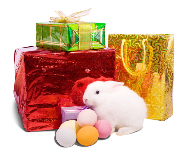 White easter rabbit with gifts. Isolated on white background - Foto, Imagem