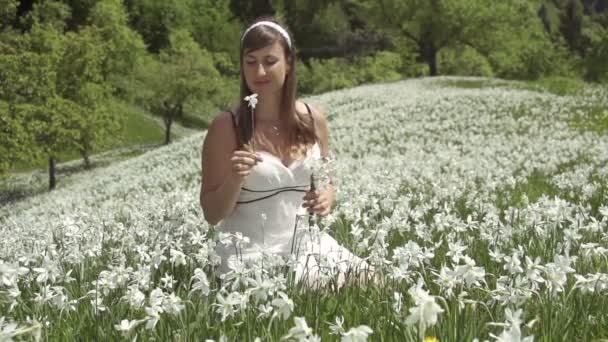 Woman gathering flowers - Footage, Video