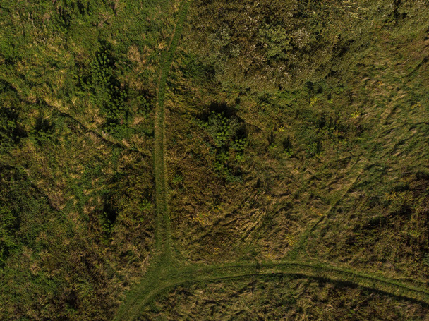 Eine grüne Wiese mit Wegen. Ansicht von oben. Luftbild - Foto, Bild
