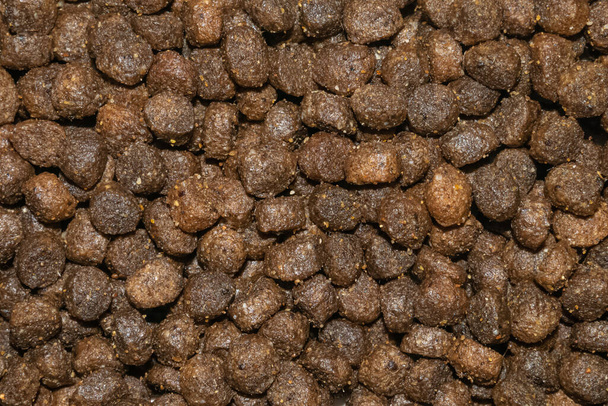 Гесси ошпарил небольшие круглые темно-коричневые гранулы корма для домашних животных - Фото, изображение