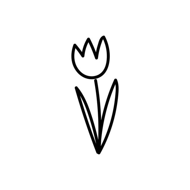Doodle dessin à la main dessin animé tulipe contour noir sur un fond blanc. Illustration de croquis vectoriels - Vecteur, image