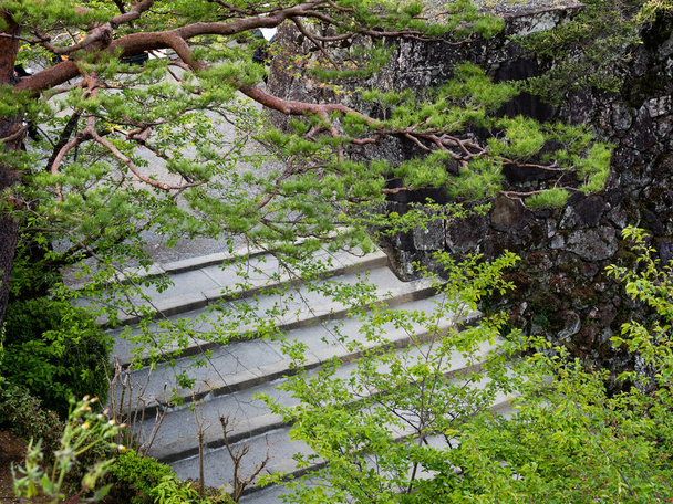 Japonya 'nın 12 orijinal Edo döneminden biri olan Kochi Kalesi' ne giden taş adımlar. - Fotoğraf, Görsel