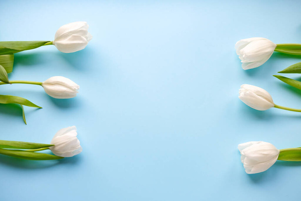 Giornata delle donne. Festa della mamma. Tulipani bianchi su sfondo blu. fiori primaverili. sfondo fiorito. - Foto, immagini