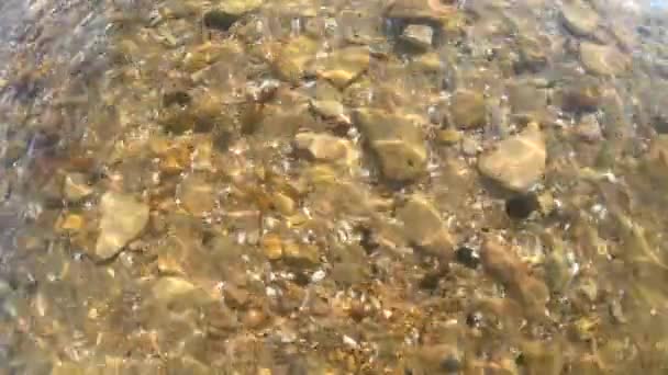 Háttér sárga homokos alján kövek és kagylók. - Felvétel, videó
