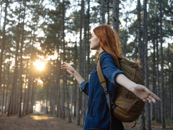 Mujer Turista con una mochila en un bosque de pinos y puesta de sol en el fondo - Foto, Imagen
