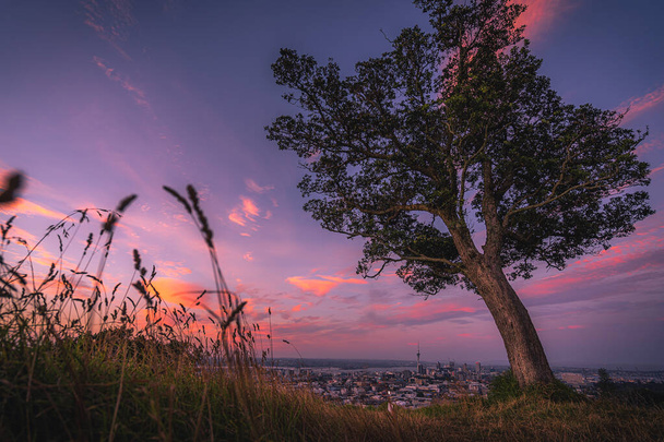 Imagen del paisaje urbano de Auckland, Nueva Zelanda, tomada del monte. Edén al atardecer. - Foto, imagen