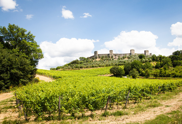 Vinho na Toscana
 - Foto, Imagem