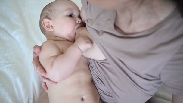 Young mother with newborn cute infant naked baby boy on the bed, holding him on arms, hugging and breastfeeds with breast milk. Healthy child, concept of hospital and happy motherhood. Nursery - Footage, Video