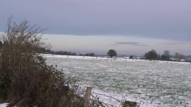 Paisaje invernal de tierras agrícolas en la Inglaterra rural  - Metraje, vídeo