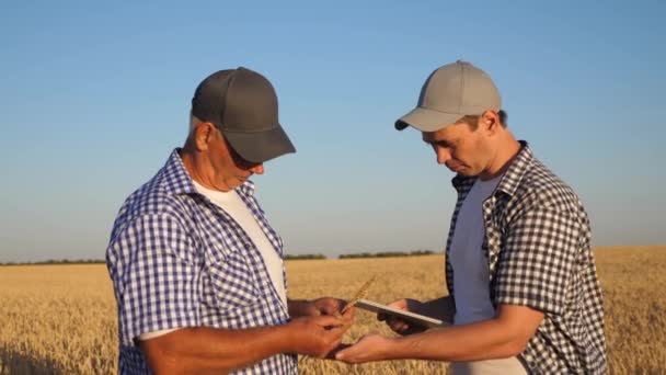 近代的なタブレット、フィールドでのチームワークを持つ農家やビジネスマン。農学者と農家は小麦を手に持っている。穀物採取。ビジネス関係者は握手をし合意した. - 映像、動画