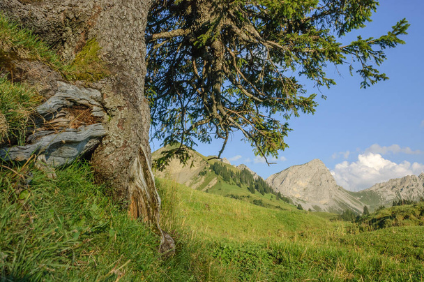 Landscape of the Swiss Alps near Brienz. - Photo, Image
