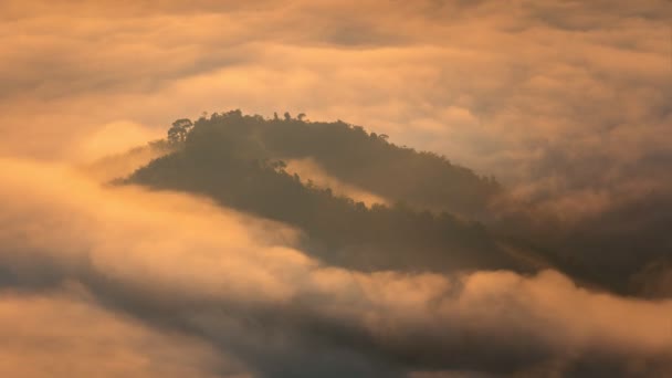 Ai yerweng, Yala, Tayland 'da 4K zaman aşımlı sis akışı - Video, Çekim