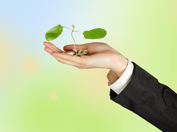 Investimento em empresas ecológicas
 - Foto, Imagem
