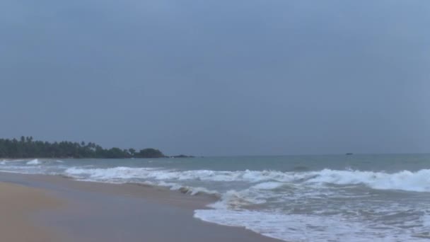 тропічних берегової лінії, Шрі-Ланка. - Кадри, відео