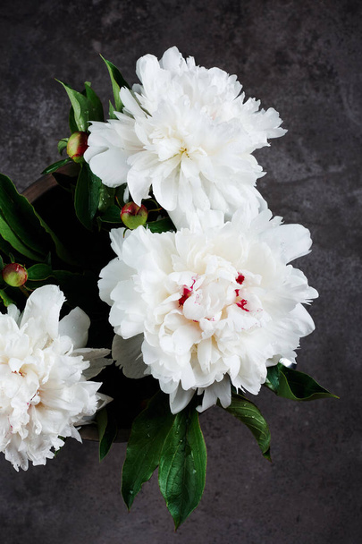 Μπουκέτο με λευκά παιώνια λουλούδια σε σκούρο γκρι φόντο. - Φωτογραφία, εικόνα