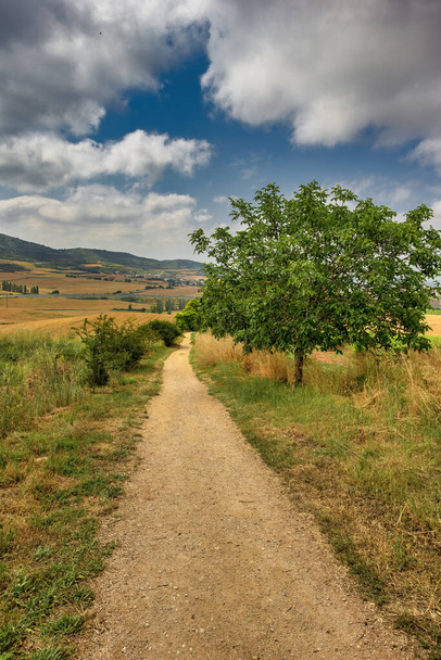 O Caminho de Santiago em Navarra em um dia claro, Espanha - Foto, Imagem