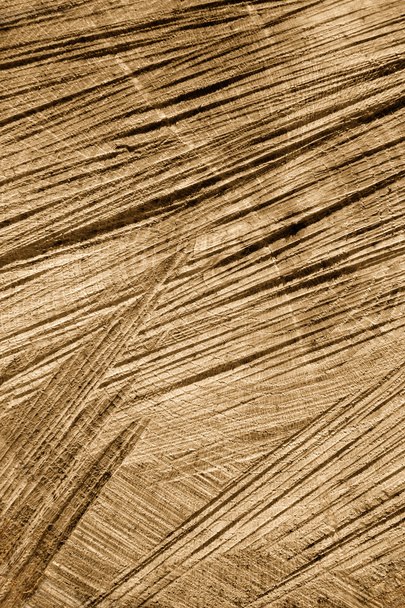 Detail of wooden cut texture - rings and saw cuts - oak - background - Foto, afbeelding