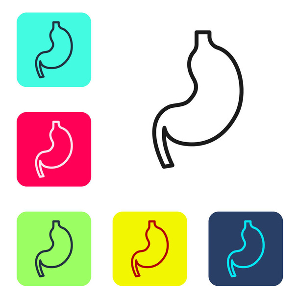 Black line Human stomach icon isolated on white background. Set icons in color square buttons. Vector. - Vector, Image