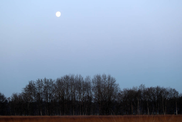 Kuu yläpuolella Boerenveensche plassen Pesse, Alankomaat - Valokuva, kuva