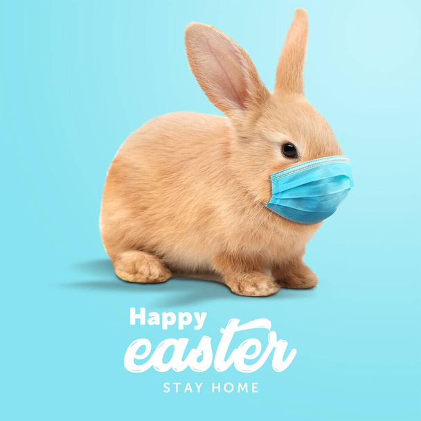 Luova minimaalinen Happy Easter design kani sisällä kotiin linja naamio coronavirus (Covid-19) värikkäitä munia ympäri koostumus näyttää viestin Hyvää pääsiäistä ja pysyä kotona. - Valokuva, kuva