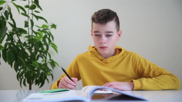 Junge schreibt Hausaufgaben. Schuljunge macht sich zu Hause Notizen in Notizbuch - Filmmaterial, Video