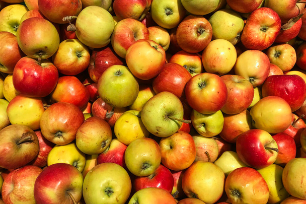 Manzanas en el supermercado. Vista superior. Una pila de manzanas rojas orgánicas. - Foto, Imagen