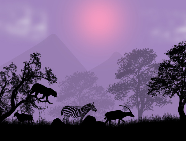Safari al tramonto
 - Vettoriali, immagini