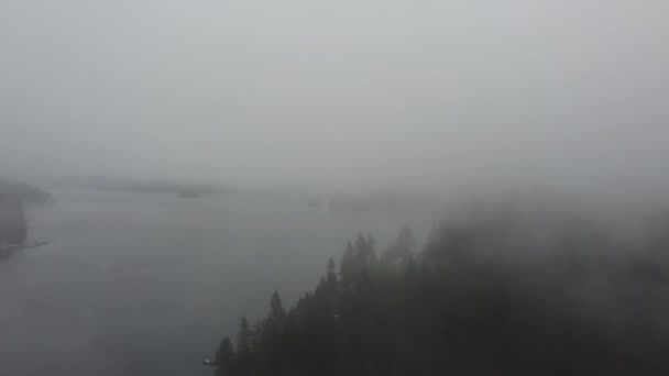 Luchtfoto van de baai in een mist met een grote sparren bomen - Video