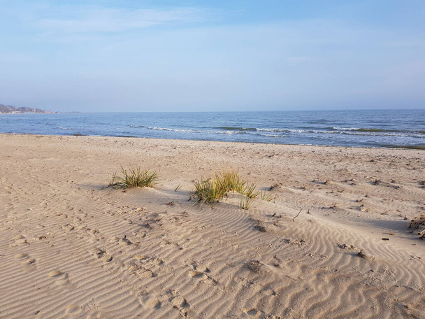 Playa de arena con césped de caña. Mar azul y cielo - Foto, Imagen
